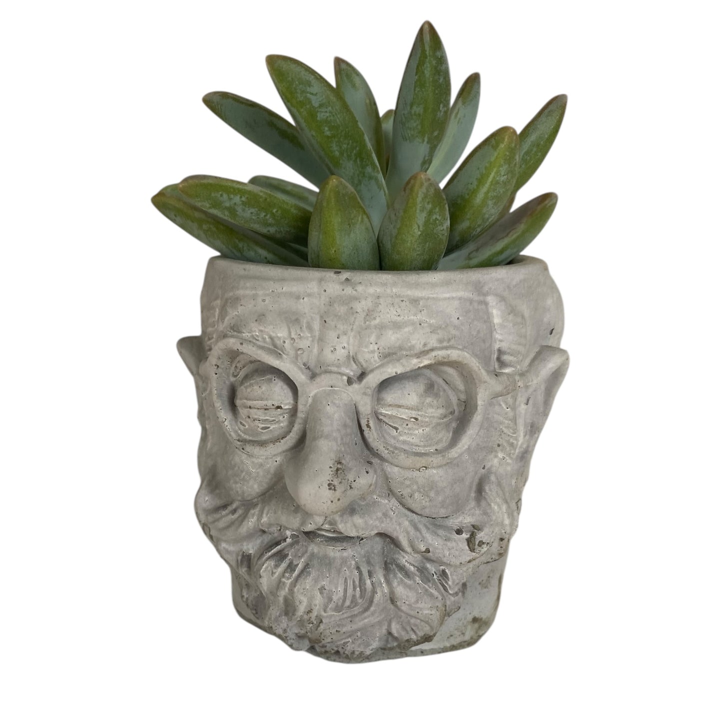 Planter Pot Gentleman Man Aussie Handmade Concrete