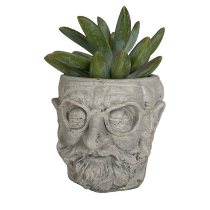 Planter Pot Gentleman Man Aussie Handmade Concrete