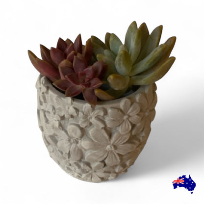Planter Pot Toothbrush Holder Flower Aussie Handmade Concrete