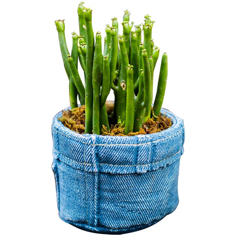 Planter Pot Jeans Rustic Denim Garden - The Renmy Store Homewares & Gifts 