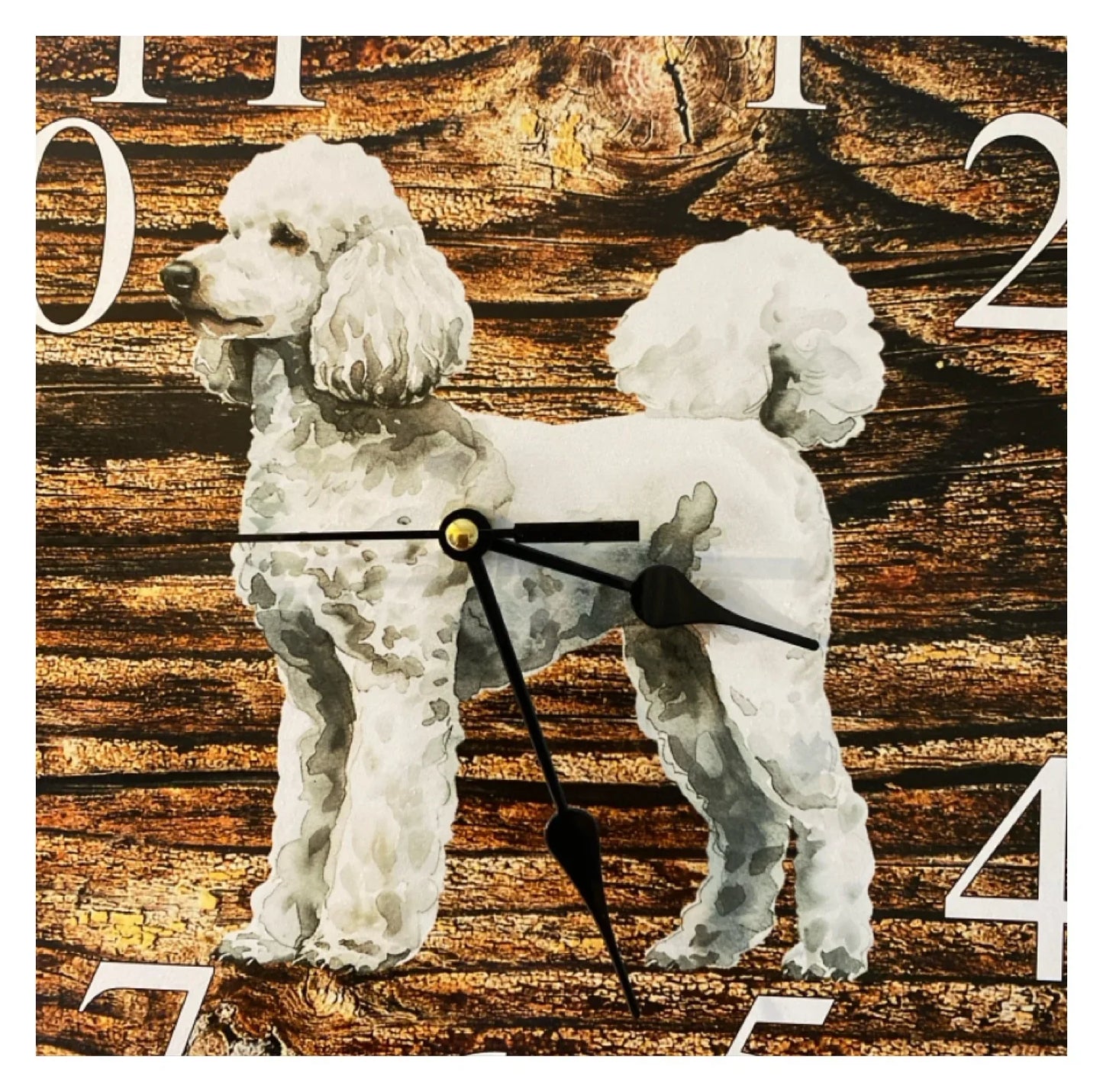 Clock Wall Dog Poodle White Grey 30cm 60cm Aussie Made