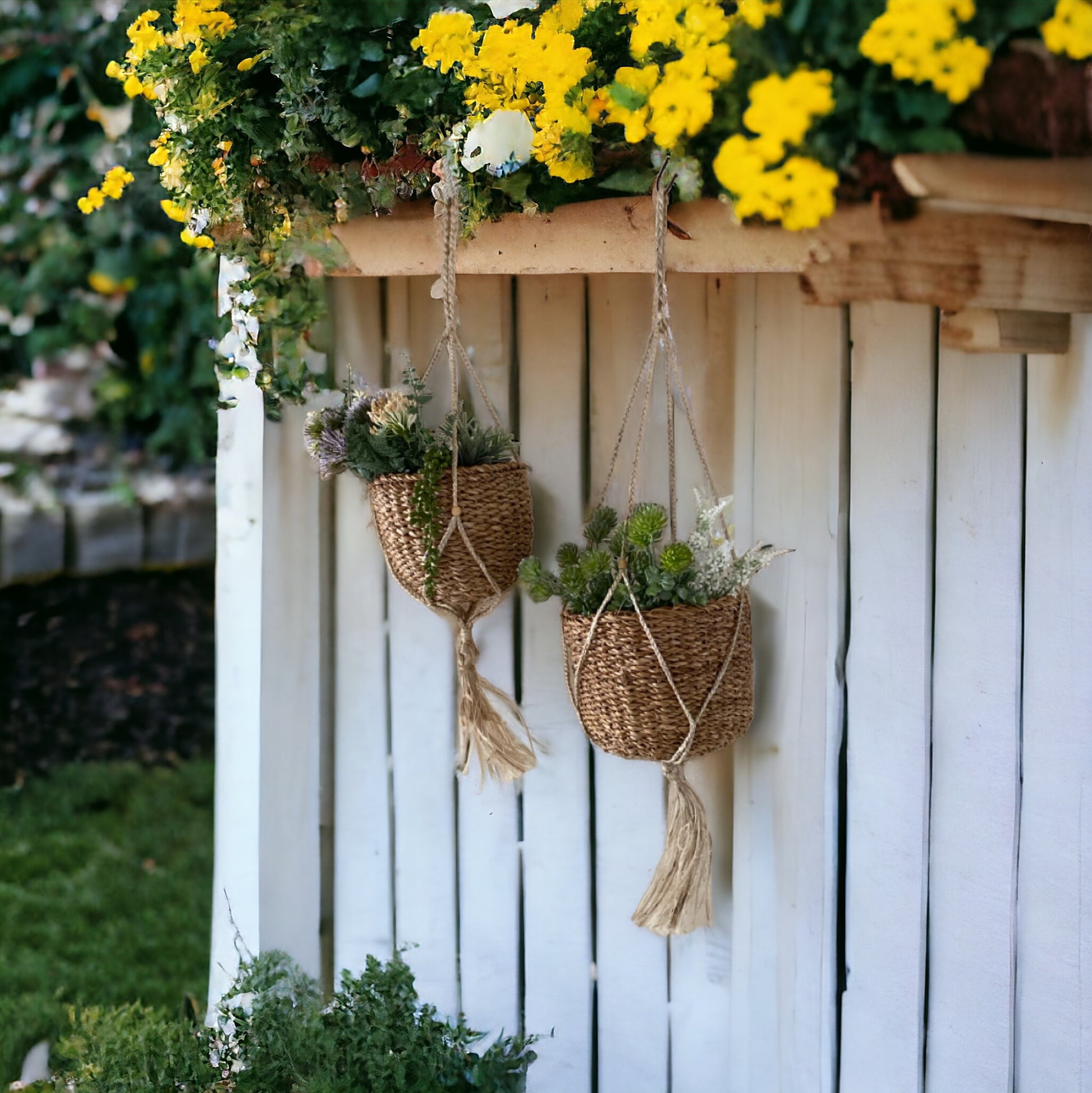 Pot Planter Plant Basket Set of 2 Hanging - The Renmy Store Homewares & Gifts 