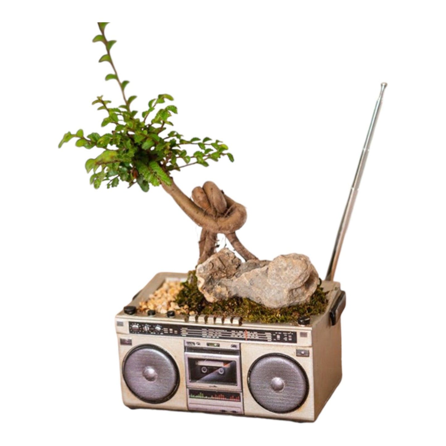 Planter Pot Radio Music Cassette Computer Retro Vintage - The Renmy Store Homewares & Gifts 