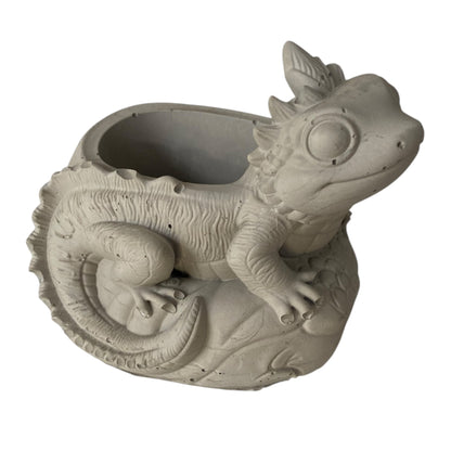 Lizard Planter Pot | Handmade Concrete Succulent Planter | Aussie Made