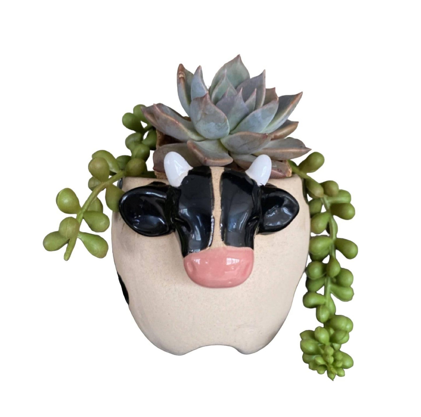 Plant Pot Planter Farmhouse Cow - The Renmy Store Homewares & Gifts 