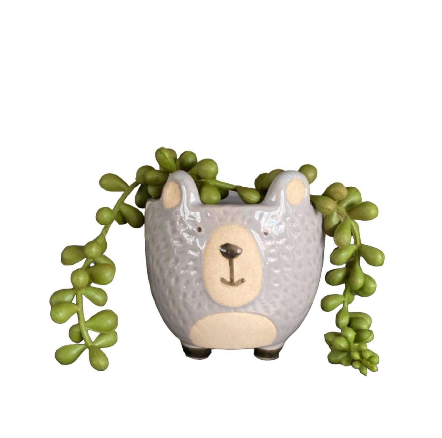 Plant Pot Planter Woodland Bear - The Renmy Store Homewares & Gifts 