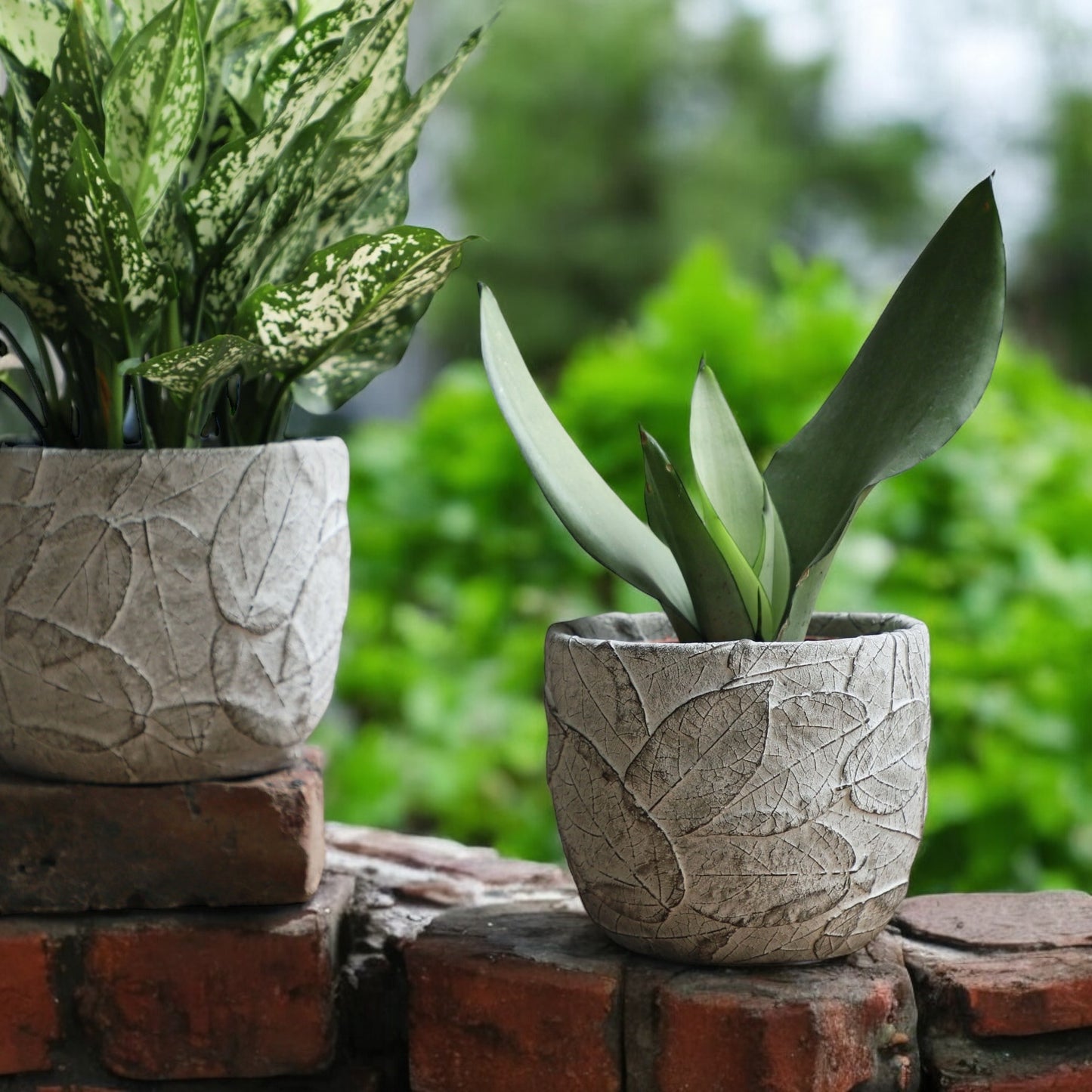 Planter Pot Rustic Garden Leaves