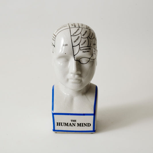 Phreno Phrenology Head 22cm Human Retro Vintage Ornament
