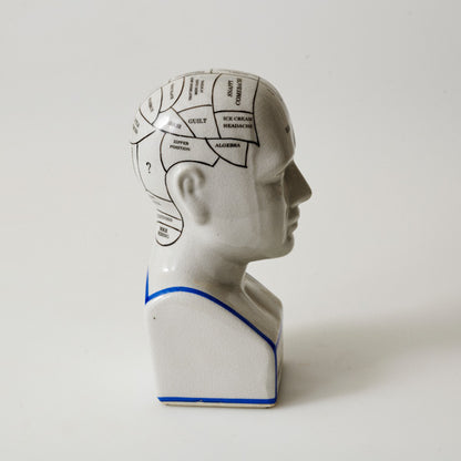 Phreno Phrenology Head 22cm Human Retro Vintage Ornament