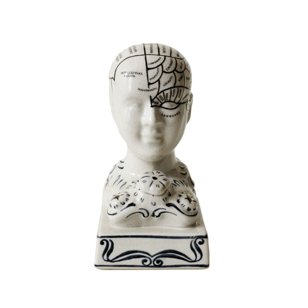 Phreno Phrenology Head Scroll Human Retro Vintage Ornament