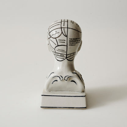 Phreno Phrenology Head Scroll Human Retro Vintage Ornament
