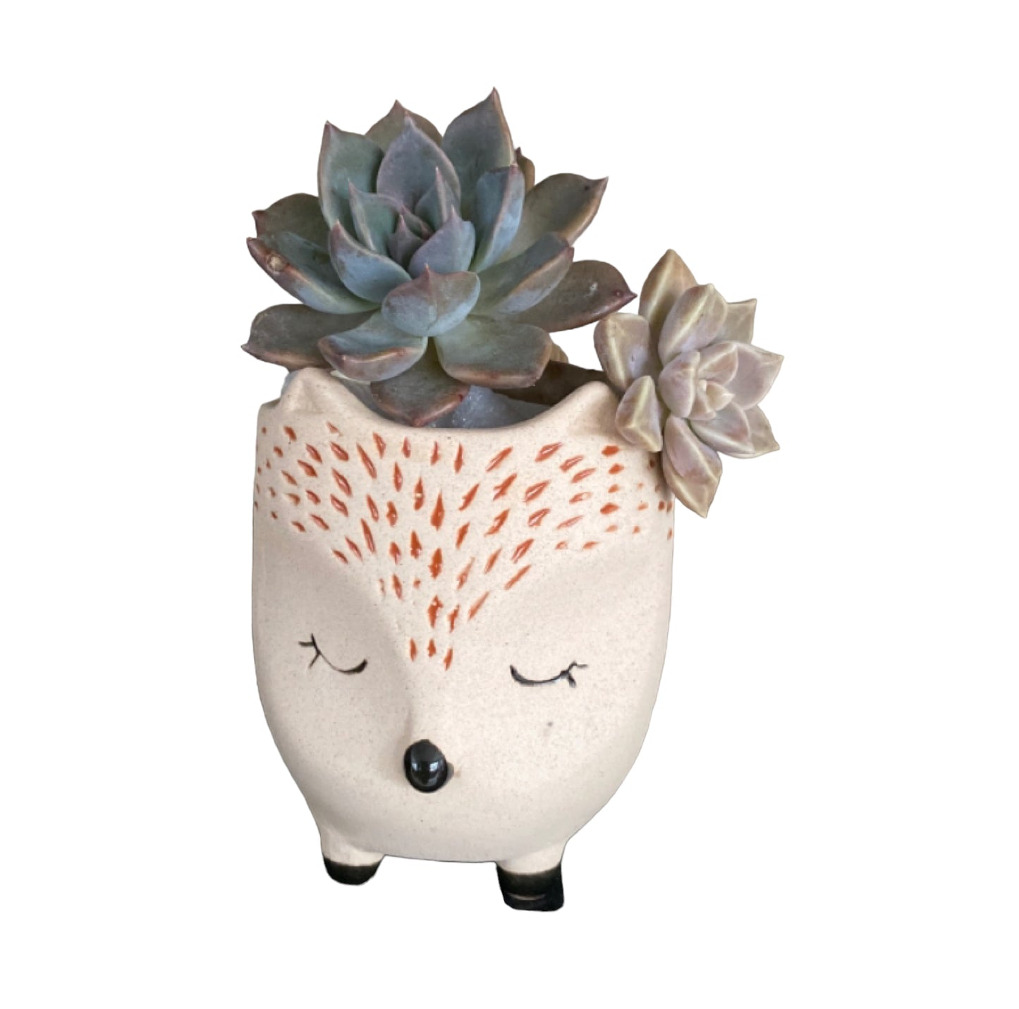 Plant Pot Planter Hedgehog Harold - The Renmy Store Homewares & Gifts 