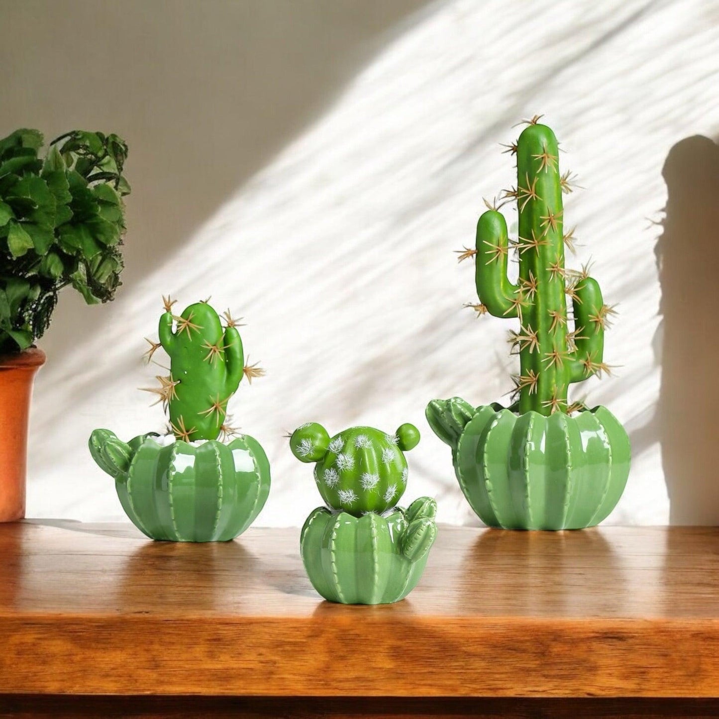 Pot Planter Cactus Garden - The Renmy Store Homewares & Gifts 