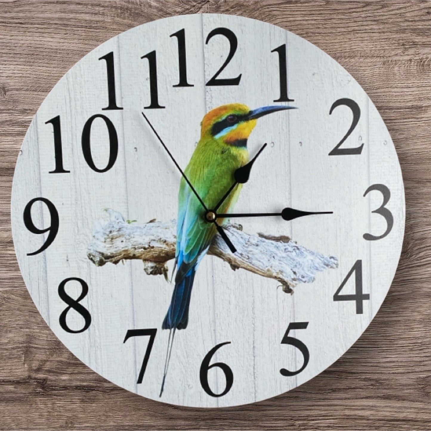 Clock Wall Bird Rainbow Bee-eater Aussie Made