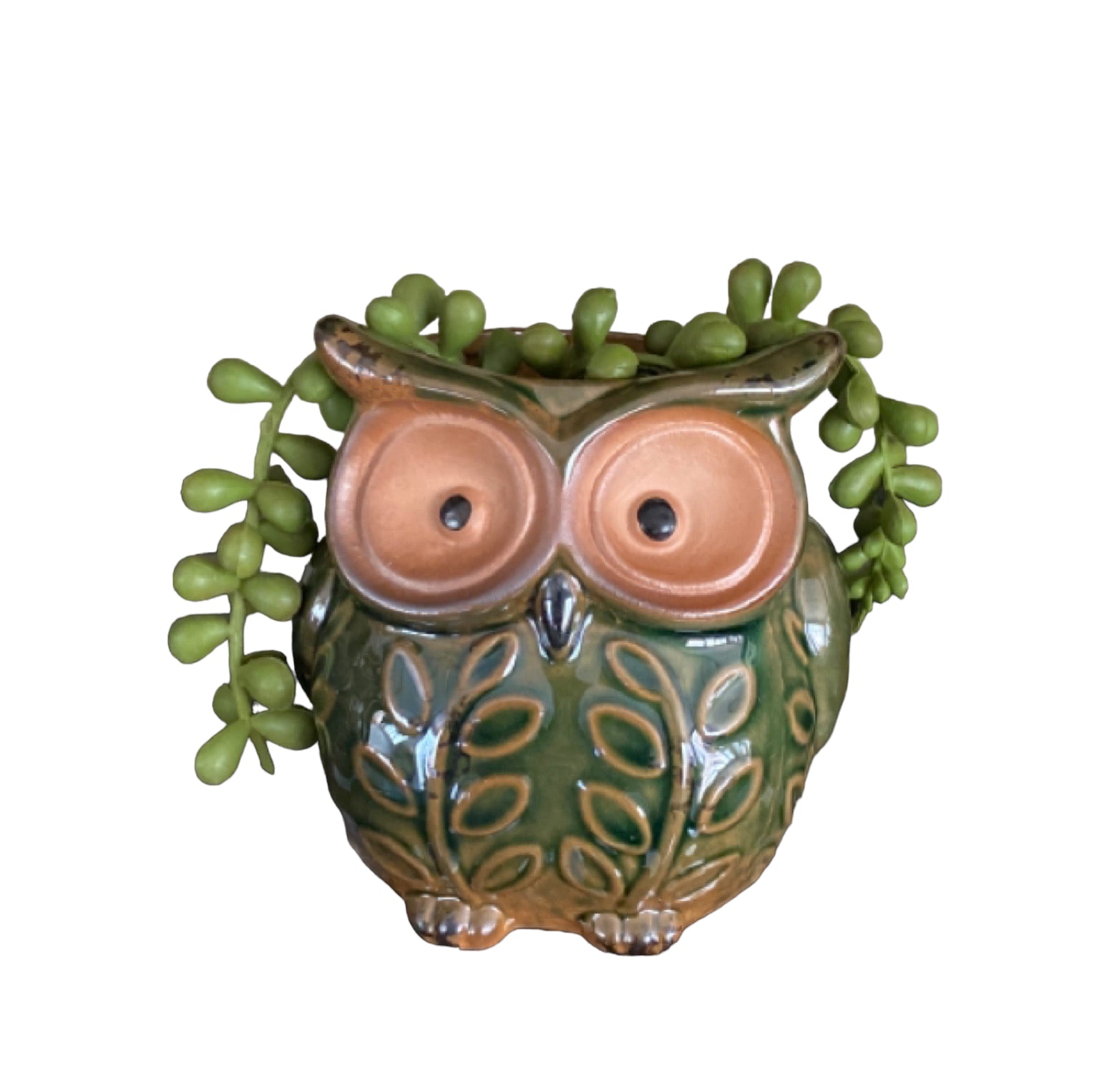Plant Pot Planter Owl Green - The Renmy Store Homewares & Gifts 