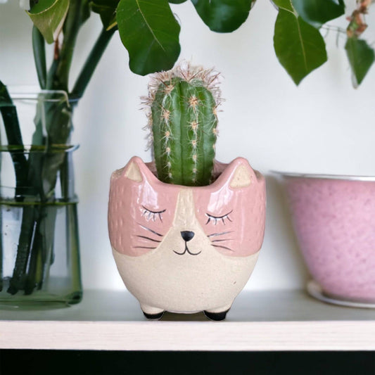 Plant Pot Planter Pink Kitty Cat - The Renmy Store Homewares & Gifts 