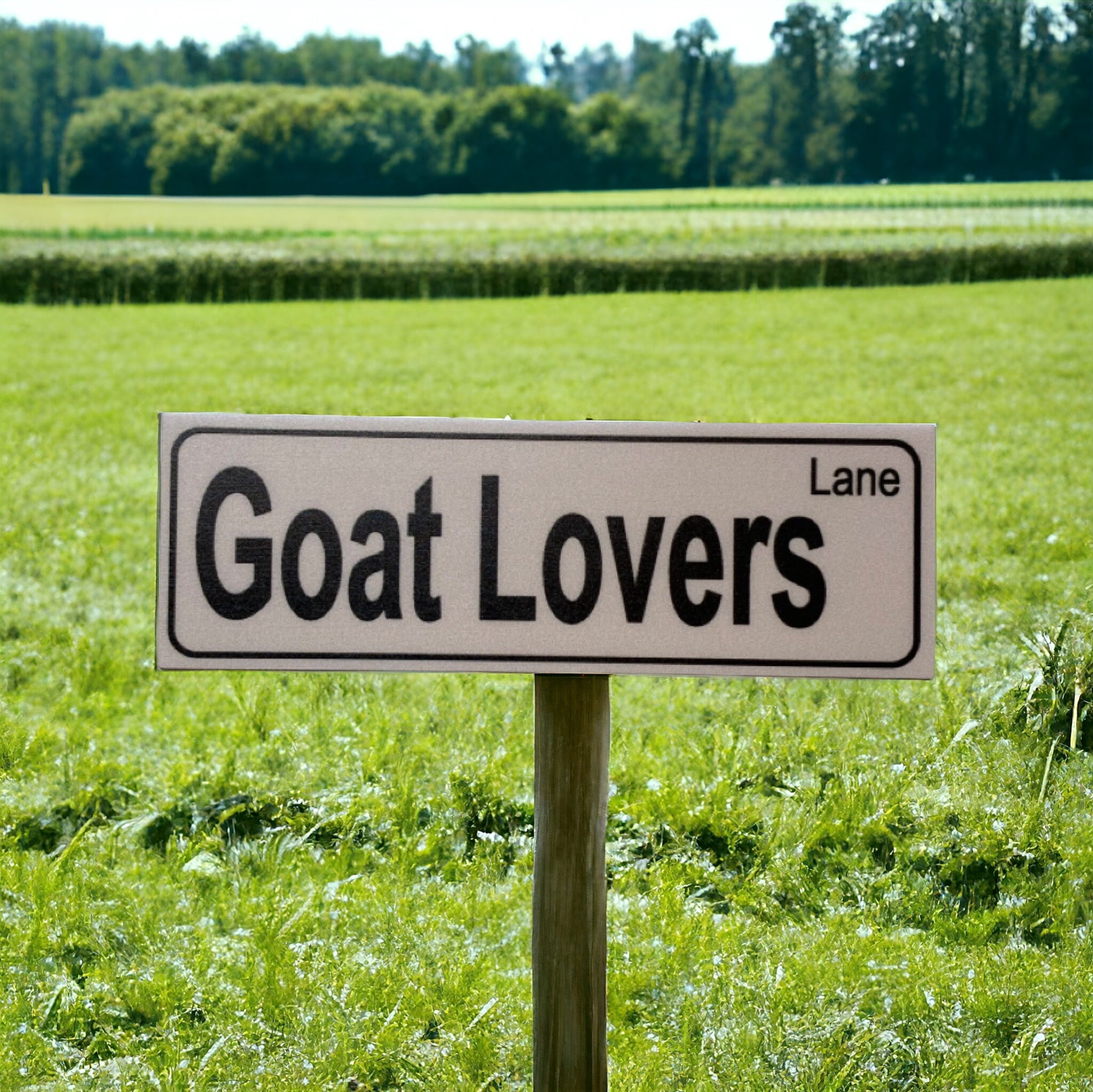 Goat Lovers Lane Sign - The Renmy Store Homewares & Gifts 