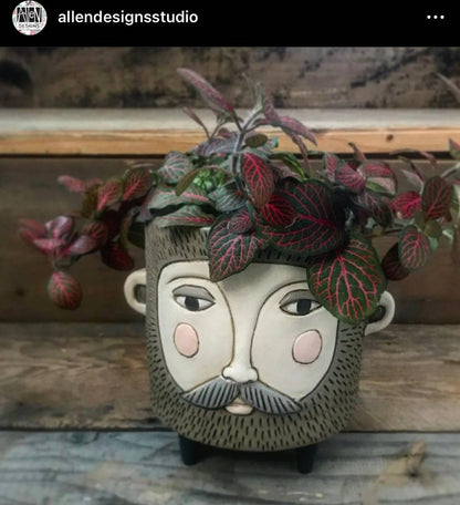 Pot Plant Planter Hairy Jack Funky - The Renmy Store Homewares & Gifts 