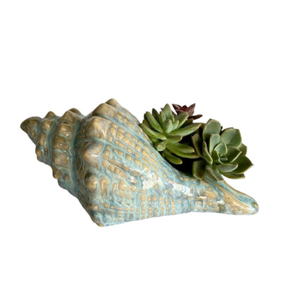 Shell Conch Ocean Ornament Pot Planter Succulents - The Renmy Store Homewares & Gifts 