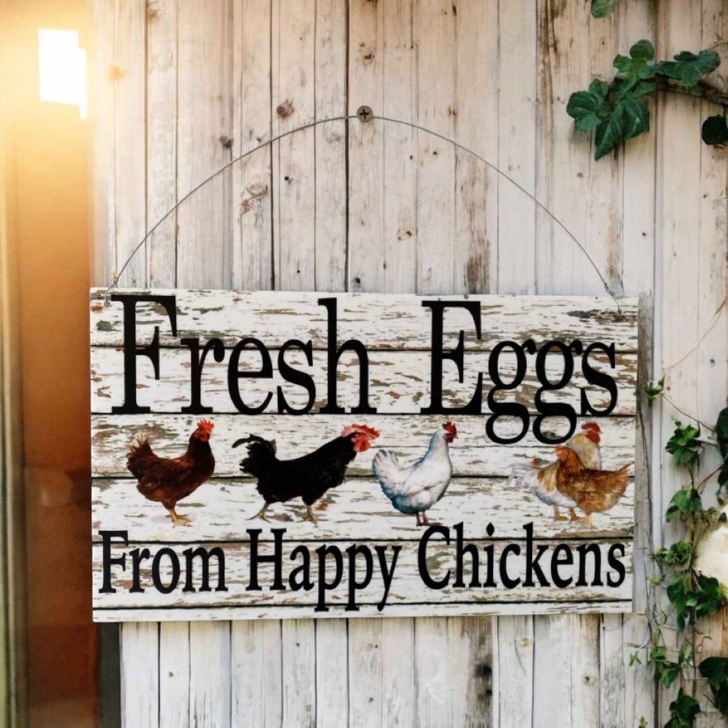 Fresh Eggs From Happy Chickens Sign