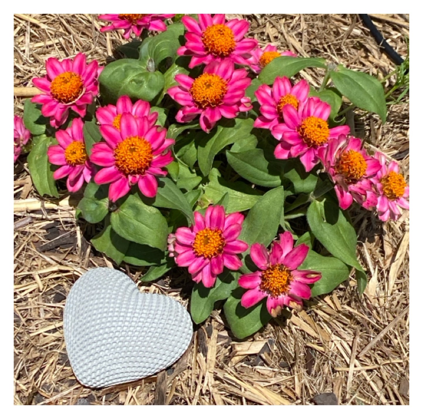 Heart Love Home Garden Decoration Aussie Handmade Concrete