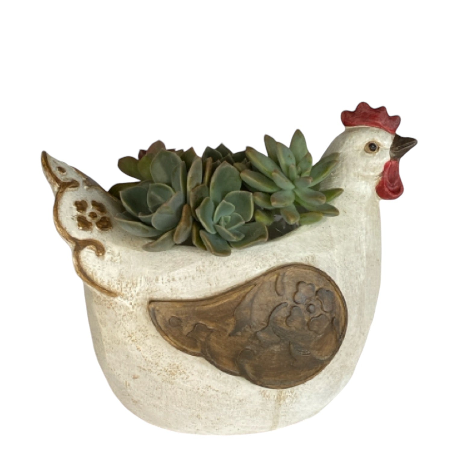 Chicken Hen Chook Plant Pot - The Renmy Store Homewares & Gifts 