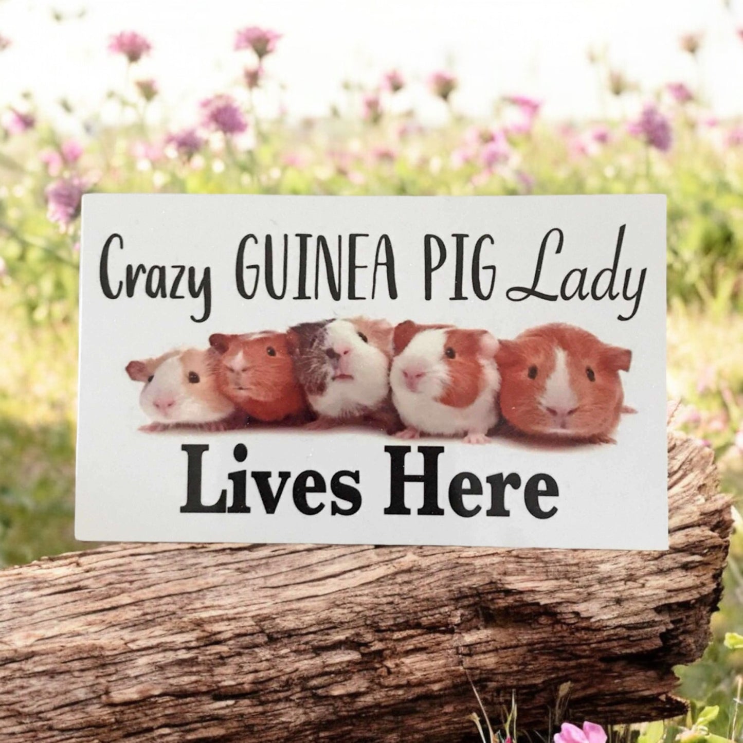 Guinea Pig Socks Keyring and Crazy Lady Sign Gift Set