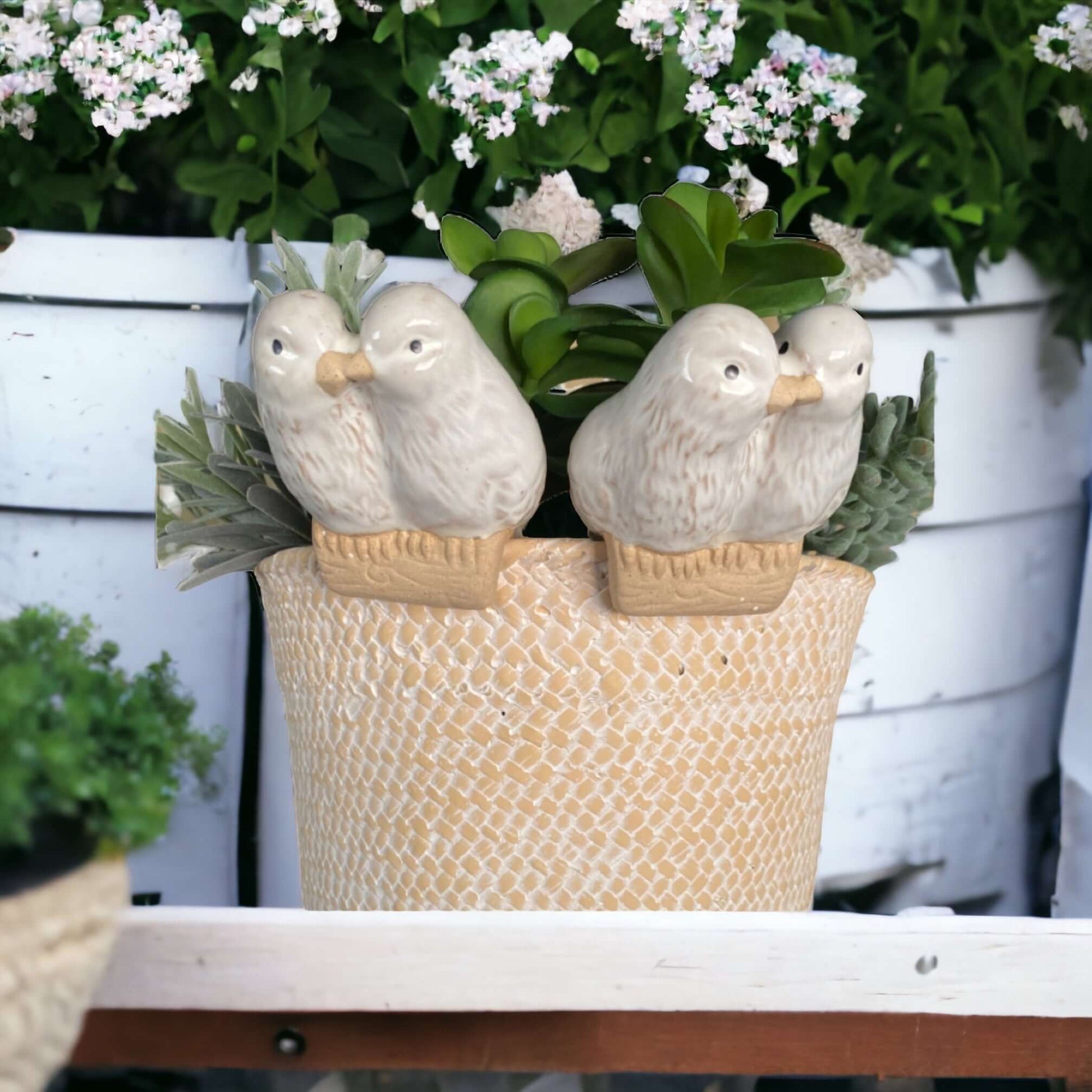 Bird Pot Sitter Hanger Planter x 2 French Love - The Renmy Store Homewares & Gifts 