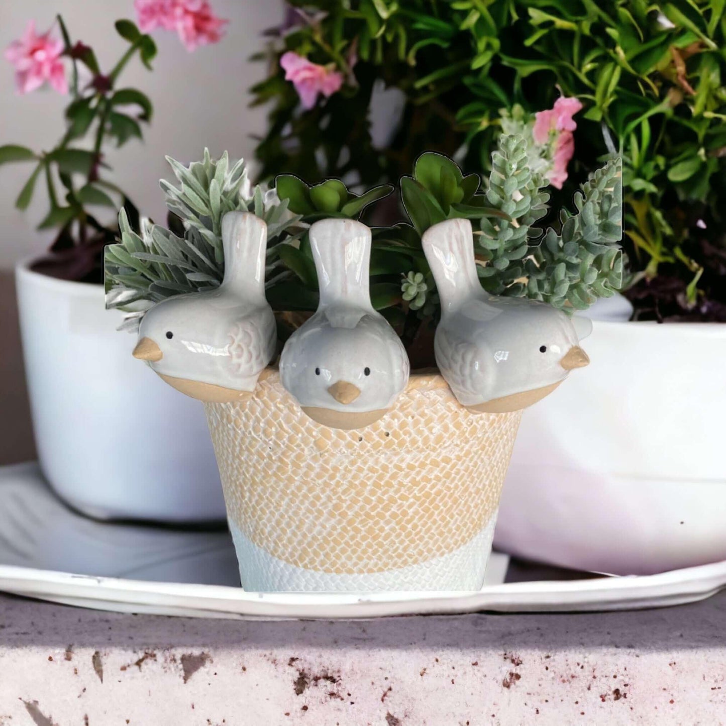 Bird Pot Sitter Hanger Planter x 3 French White - The Renmy Store Homewares & Gifts 