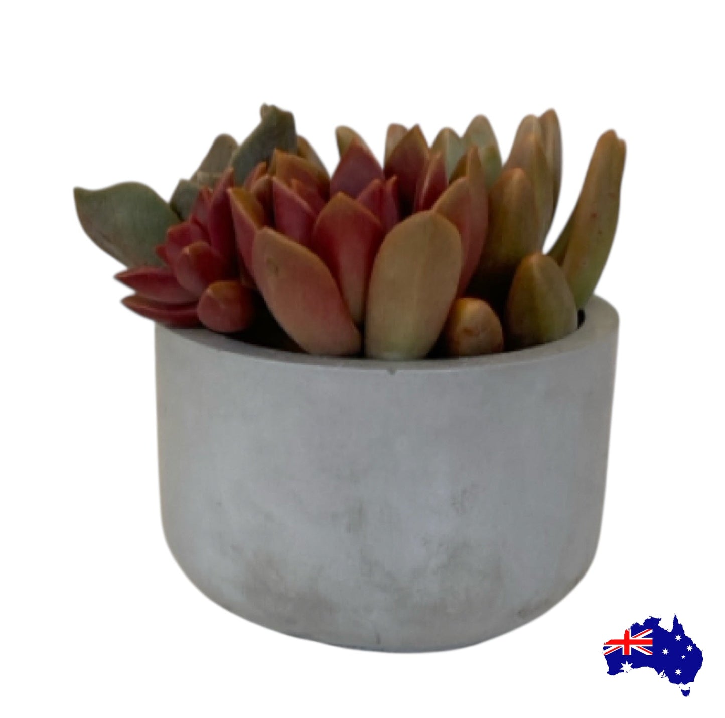 Planter Pot Round Candle Holder Aussie Handmade Concrete