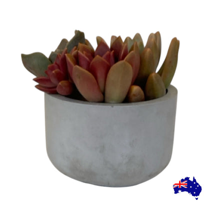 Planter Pot Round Candle Holder Aussie Handmade Concrete