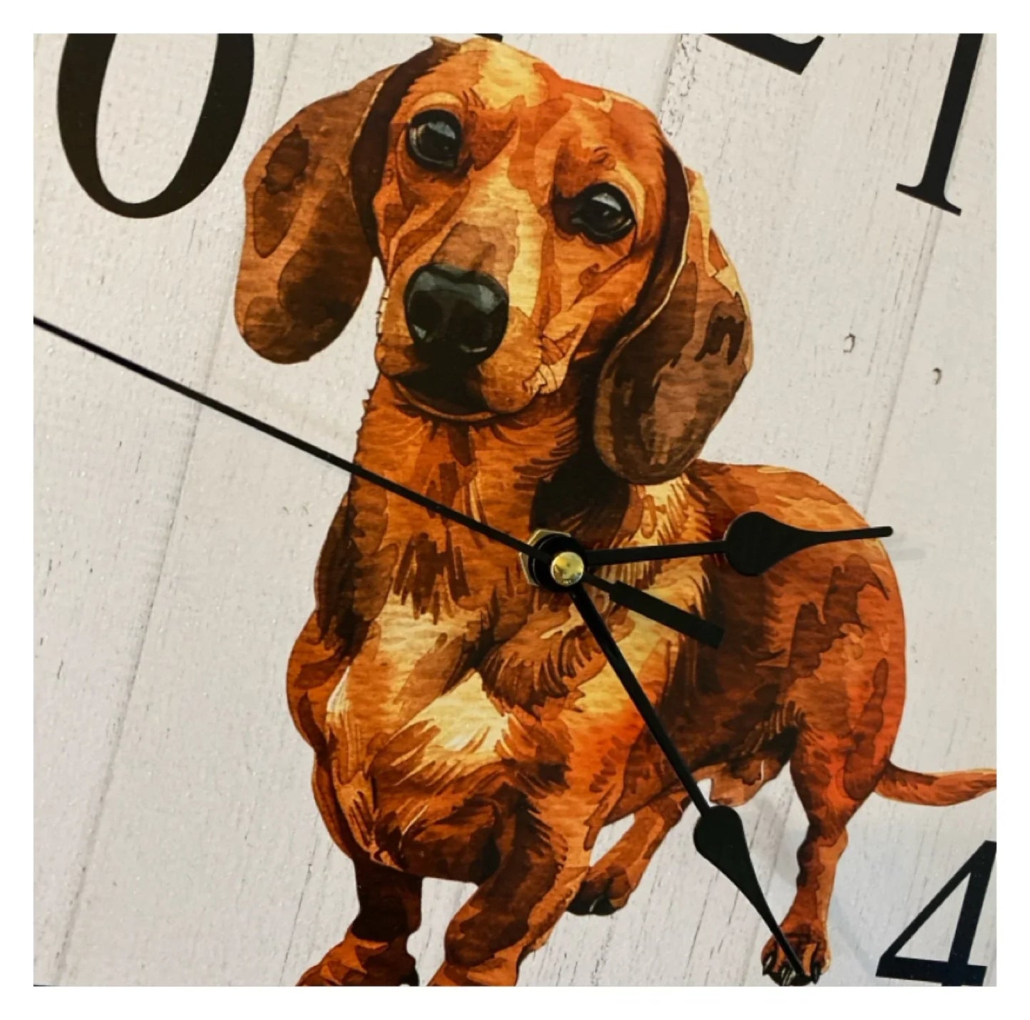 Clock Wall Dachshund Brown Tan 30cm 60cm Aussie Made