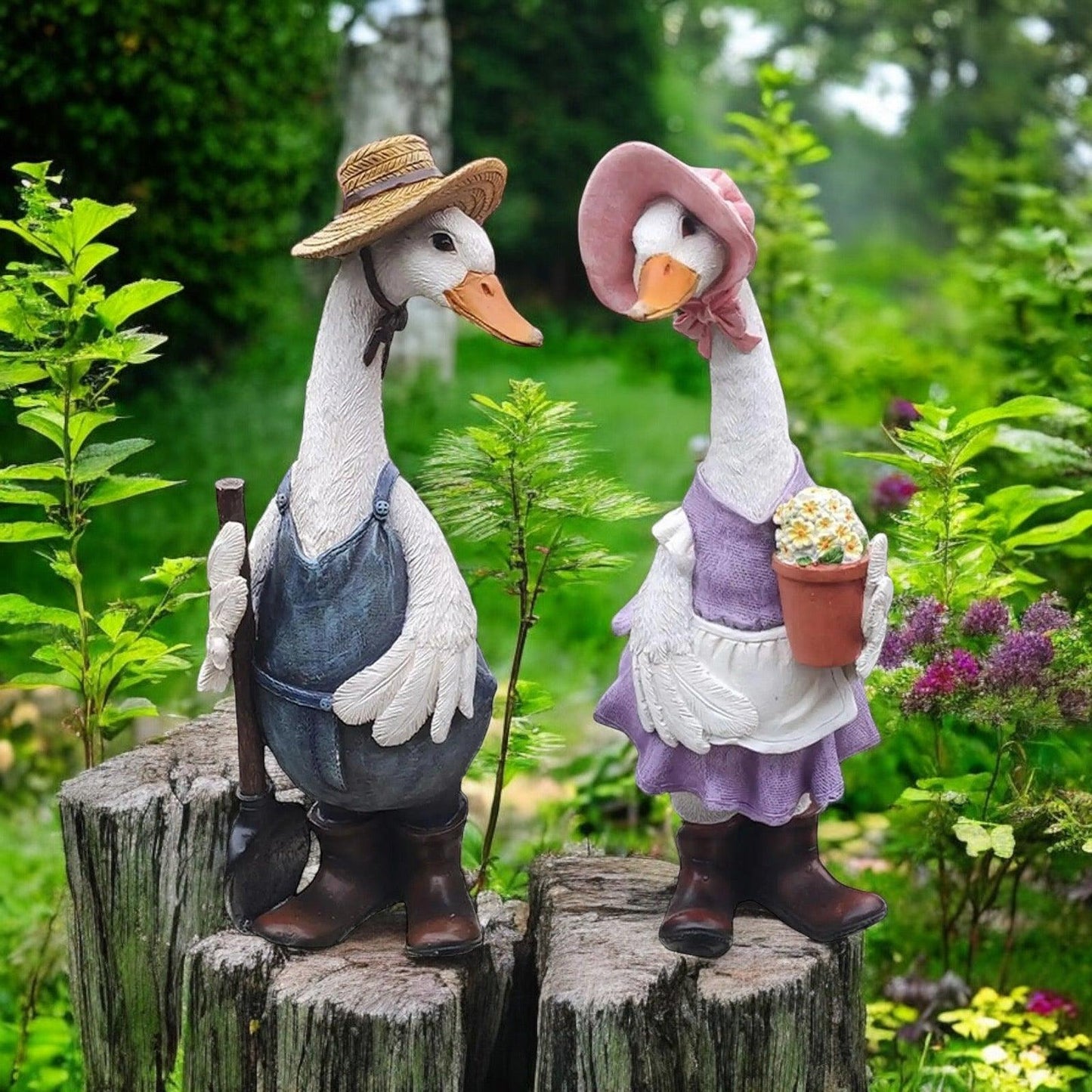 Duck Ornament Garden Country