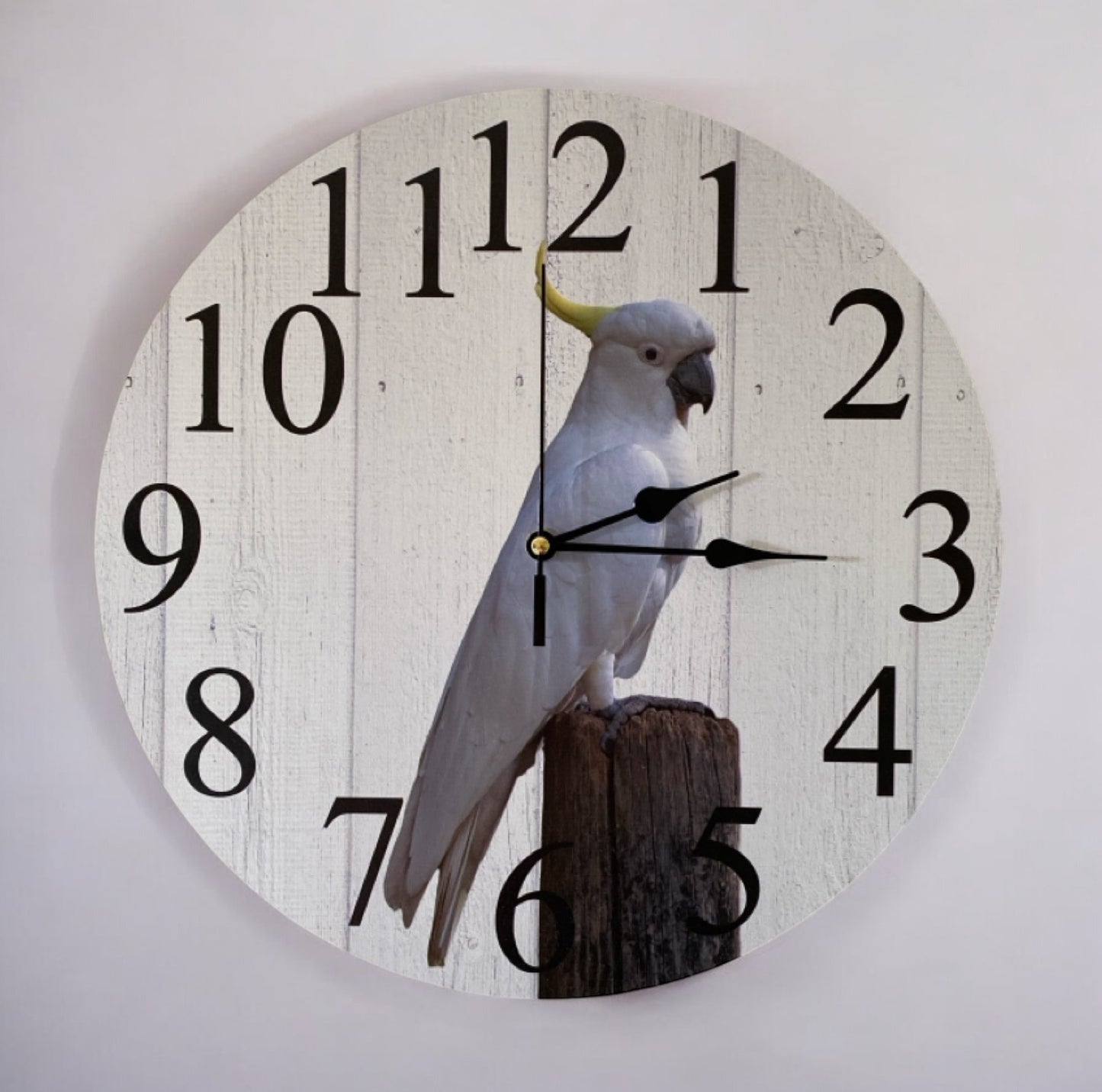 Clock Wall Bird Cockatoo Aussie Made