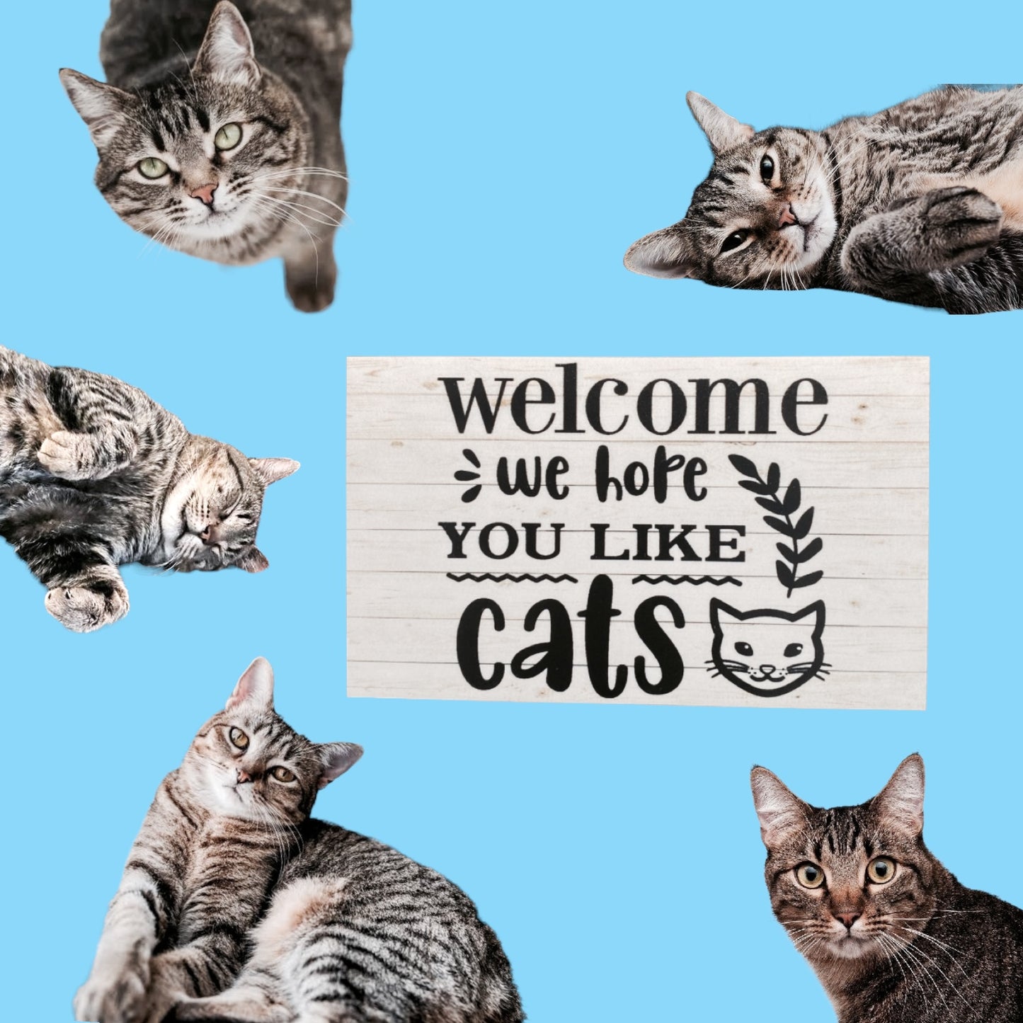 Welcome We Hope You Like Cats Sign - The Renmy Store Homewares & Gifts 