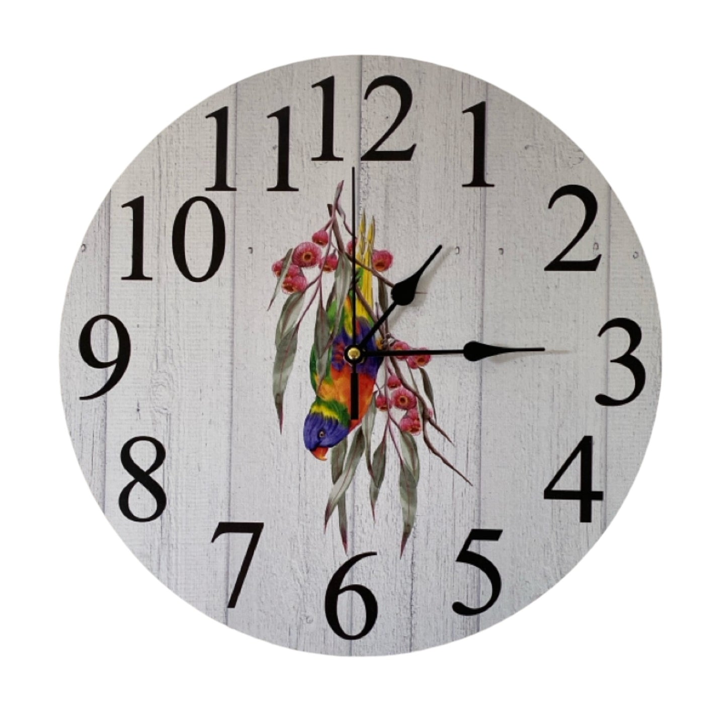 Clock Wall Lorikeet Lorie Bird Parrot Aussie Made