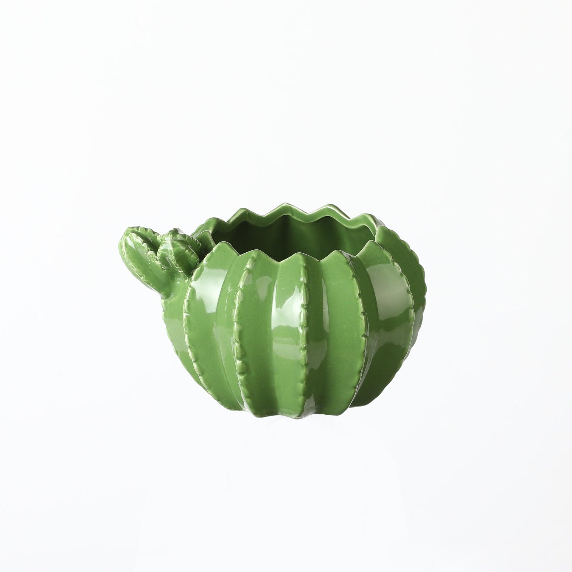 Pot Planter Cactus Garden - The Renmy Store Homewares & Gifts 