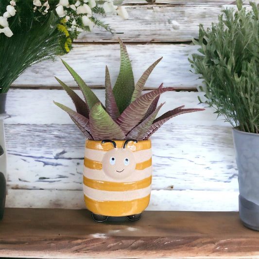 Plant Pot Planter Honey Bee - The Renmy Store Homewares & Gifts 