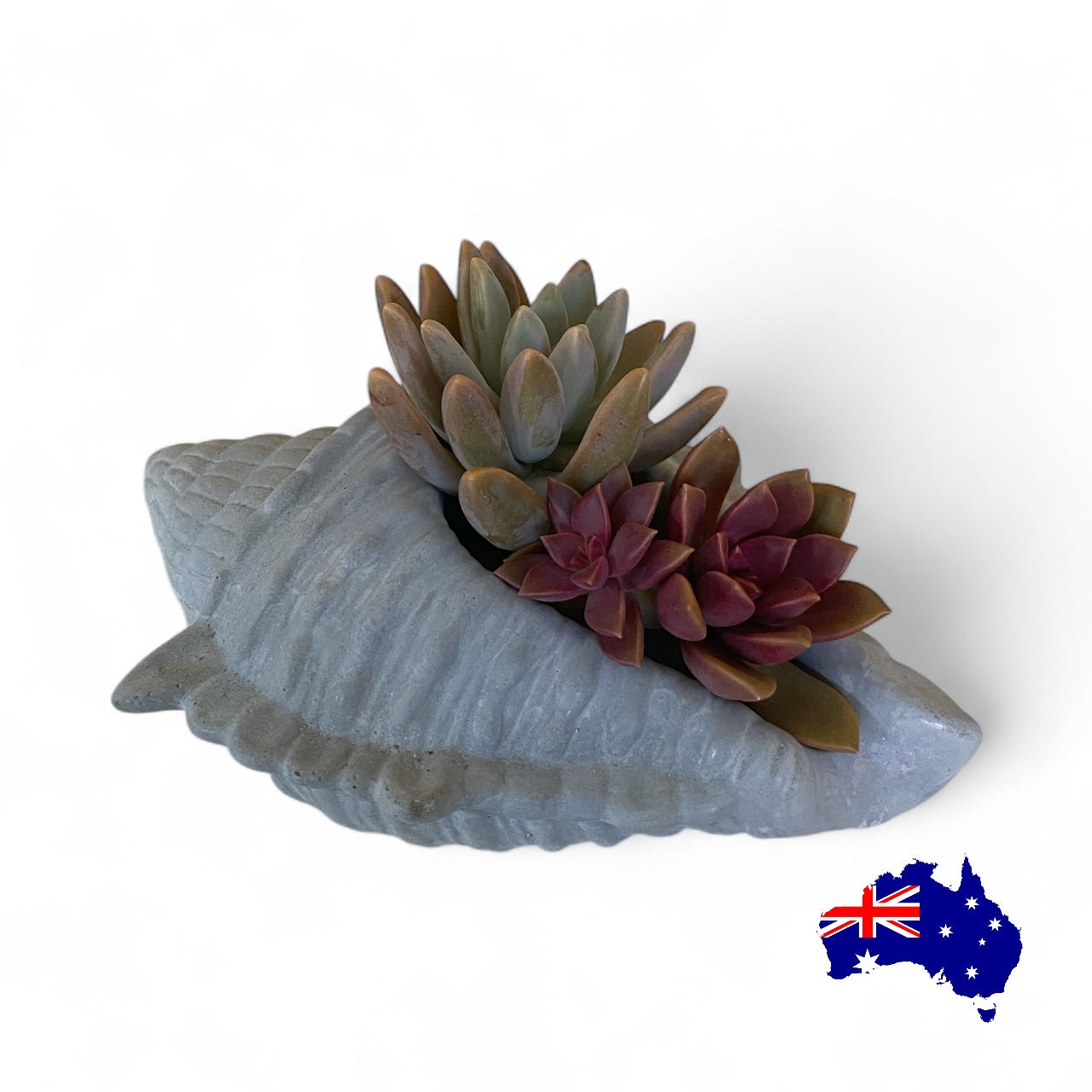 Planter Pot Shell Coastal Beach Aussie Handmade Concrete
