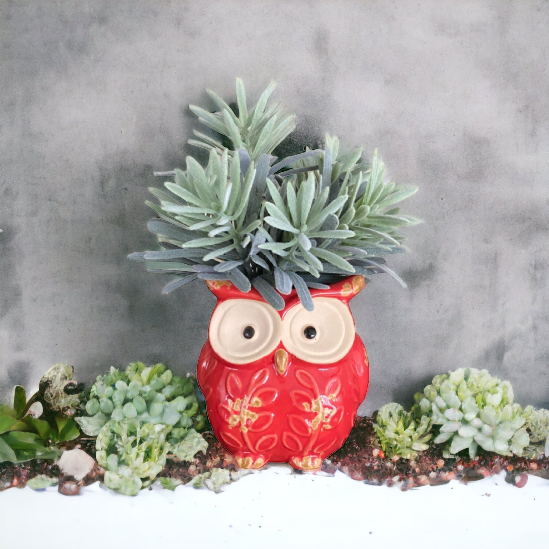 Plant Pot Planter Owl Red - The Renmy Store Homewares & Gifts 