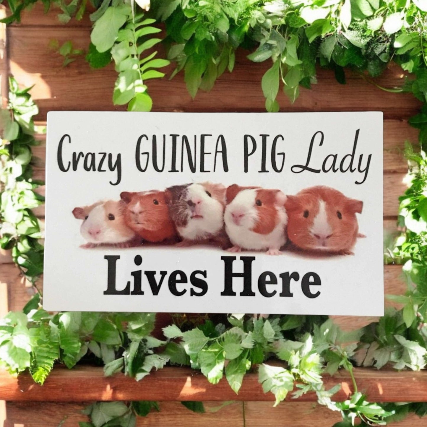 Guinea Pig Socks Keyring and Crazy Lady Sign Gift Set