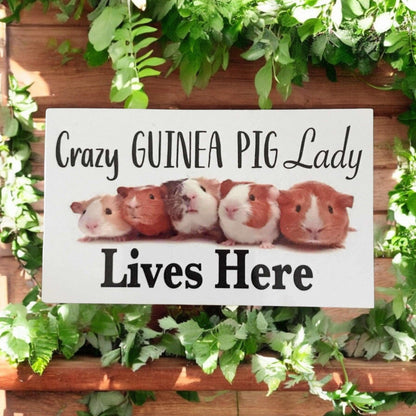 Guinea Pig Socks Keyring and Crazy Lady Sign Gift Set - The Renmy Store Homewares & Gifts 