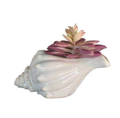 Shell Beach Ocean Planter Pot - The Renmy Store Homewares & Gifts 