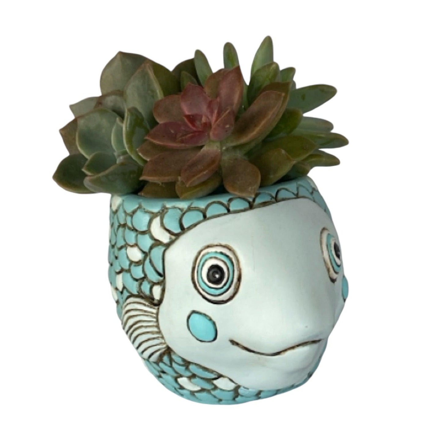 Fish Blue Funky Pot Planter Plant Small - The Renmy Store Homewares & Gifts 