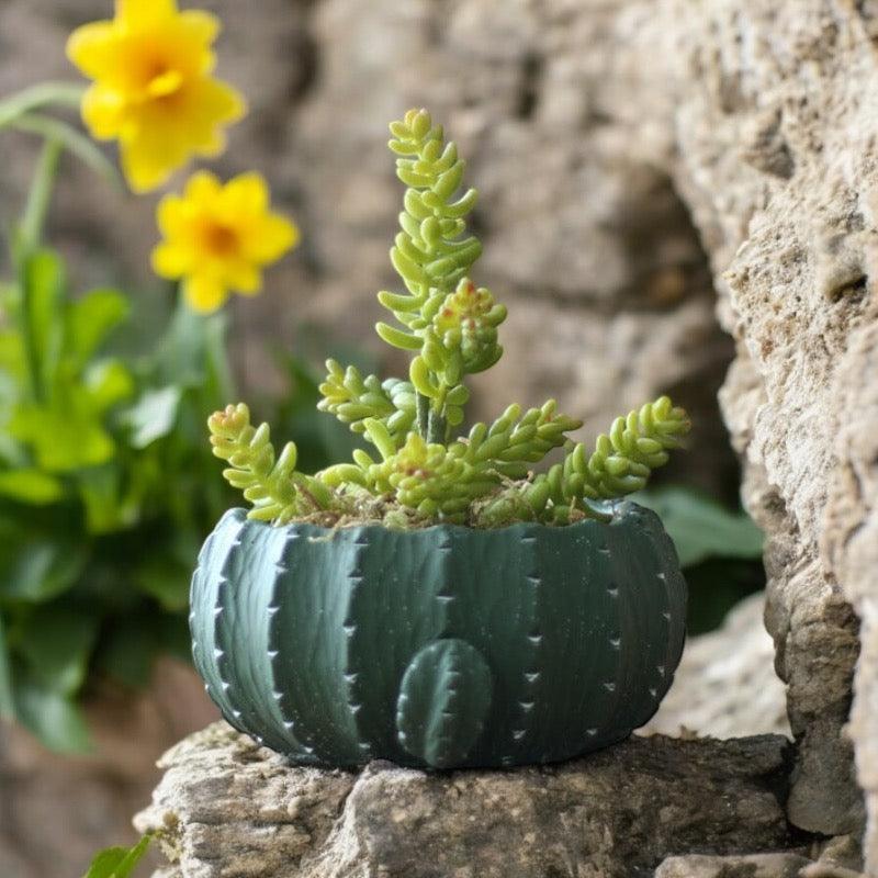 Pot Planter Cactus Mexican - The Renmy Store Homewares & Gifts 