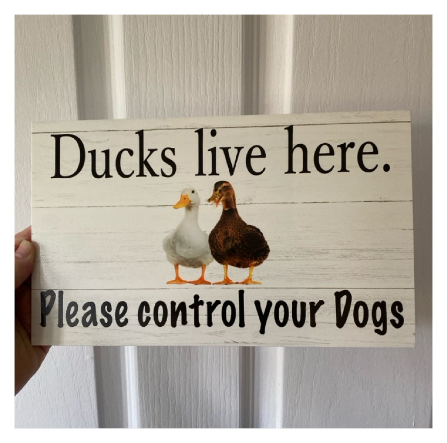 Duck Ducks Your Text Custom Wording Sign