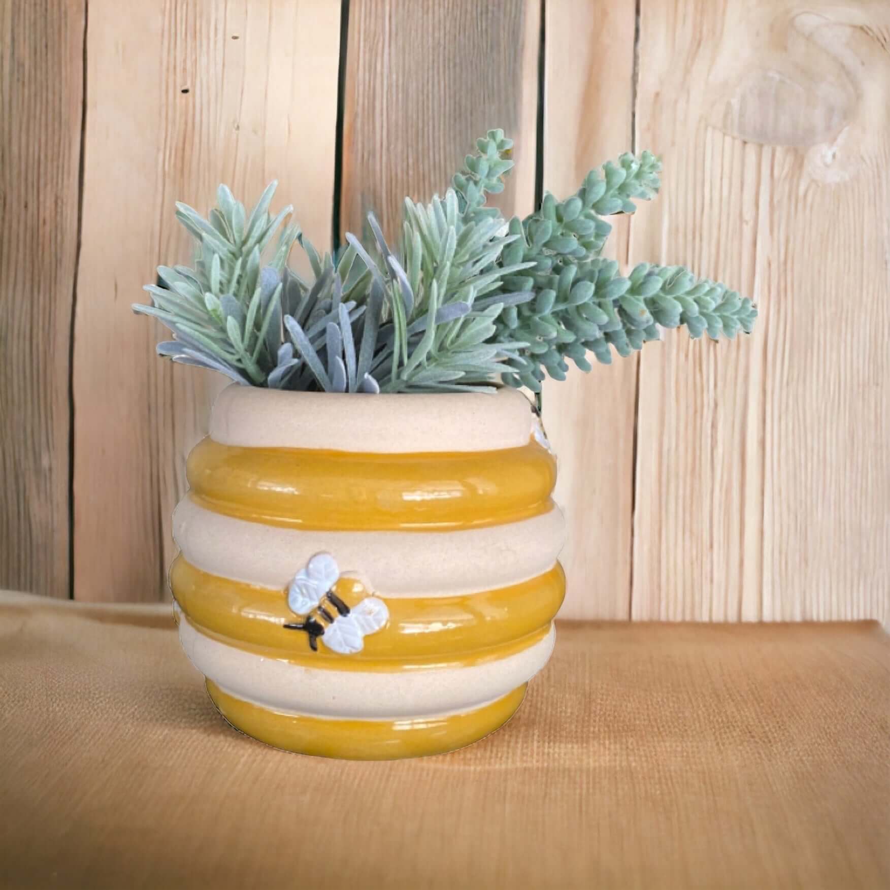 Bee Honey Plant Pot Planter Garden - The Renmy Store Homewares & Gifts 