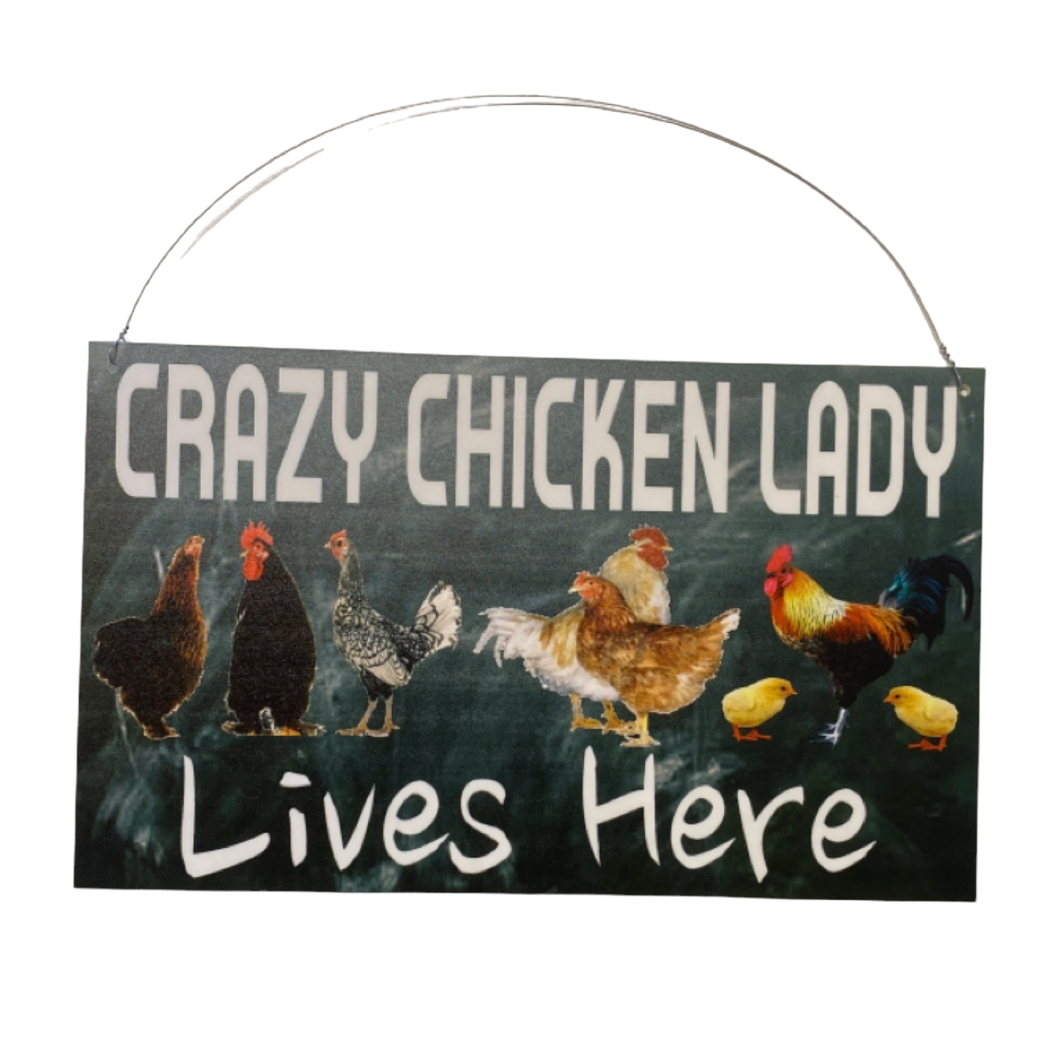 Crazy Chicken Lady Lives Here Sign - The Renmy Store Homewares & Gifts 