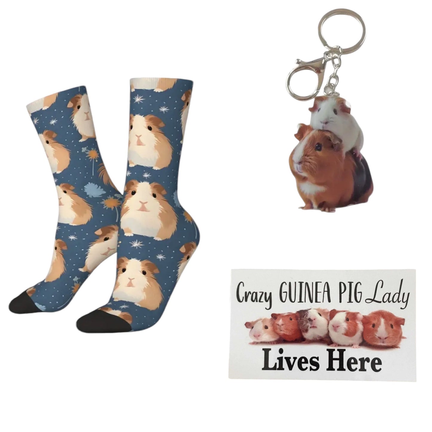 Guinea Pig Socks Keyring and Crazy Lady Sign Gift Set