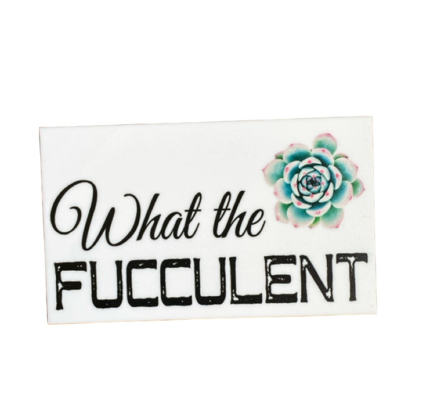 What the Fucculent Succulent Sign - The Renmy Store Homewares & Gifts 